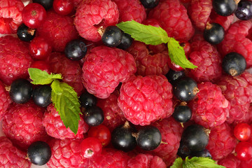 ripe berries with mint, close up.