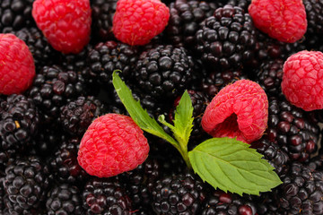 background of beautiful berries with leaves
