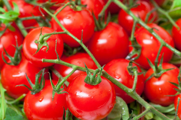 Background of Ripe Cherry Tomatoes