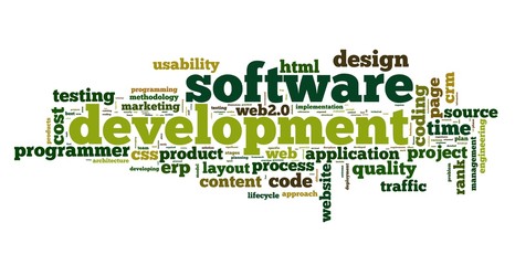 Obraz premium Software development concept in tag cloud