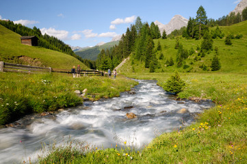 Randonnée dans les Alpes