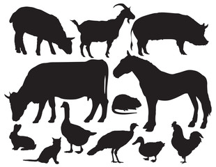 Farm Animals vector