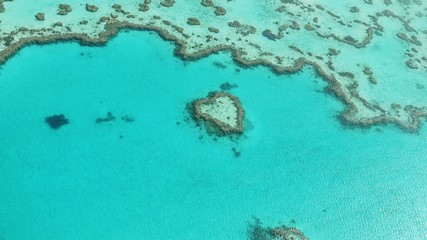 Fototapeta na wymiar Reef serce