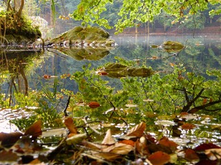 Herbst am Bergsee