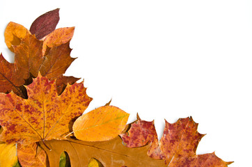 Herbstblätter Hintergrund