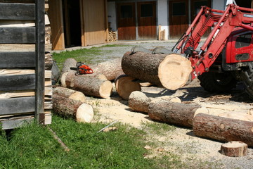 Holzbearbeitung