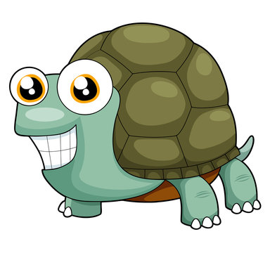 illustration of turtle vector