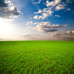 green field