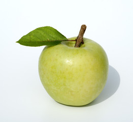 Granny, Apfel, Malus domestica, Granny Smith