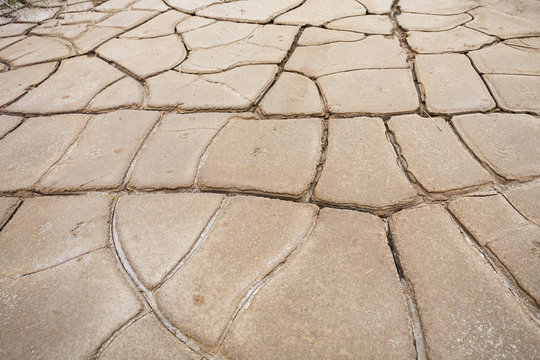 Cracks in dry land