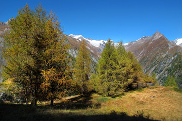 Nationalpark "Hohe Tauern"
