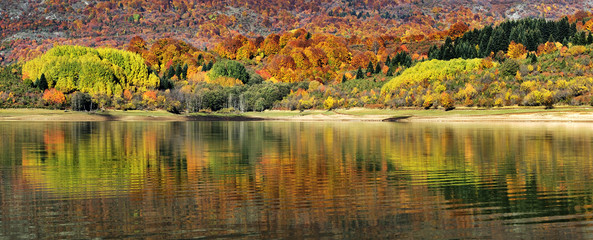 Autumn scenery. Beautiful gold fall in park.