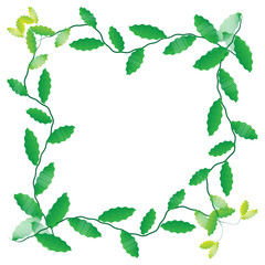 Leaf of frame on background