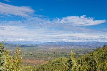 Fototapeta na wymiar Central Yukon T Kanada tajga i Ogilvie Góry
