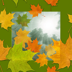Herbstwetter, Ahorn, Laub, Muster, nahtlos, Blätter