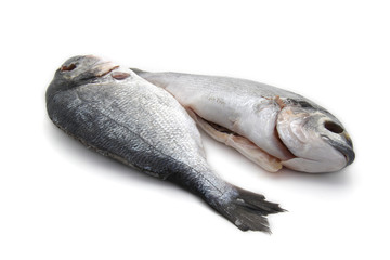 Poissons