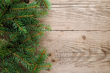 Spruce branches on wooden background