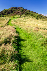 Green footpath to the top of hill in summer