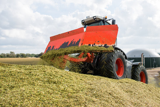 Erntefahrzeug - Silage fahren