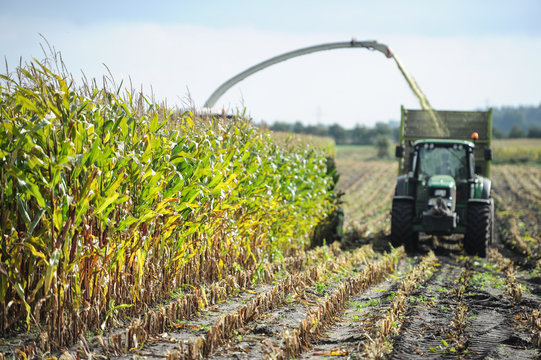 Ernte - Landwirtschaft