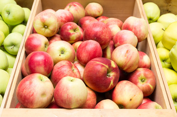 Box of fresh apples on display