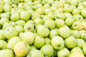 Golden Delicious apples on display at the market