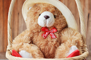 Teddy bear in the basket