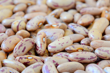 Close-up dry white beans on natural light