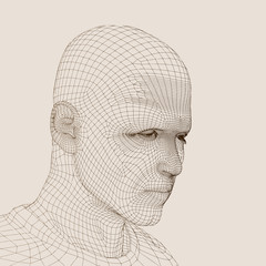 High resolution conceptual 3D wireframe man head