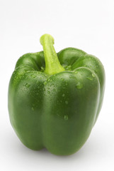 Grüne Paprikaschote mit Wassertropfen - 354