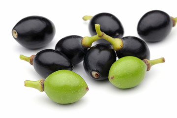 Laurel Fruits