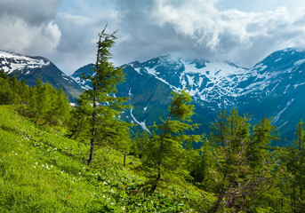 Alps summer view