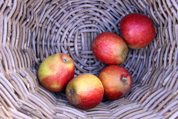 apfelkorb