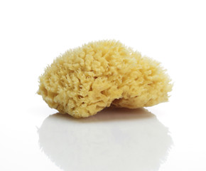 Naturschwamm