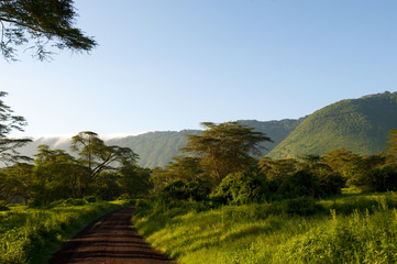 Tanzania, Afryka, Safari