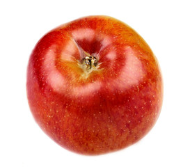 Colorful apple isoleted
