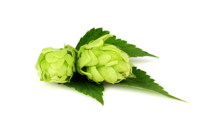 Hops with leave