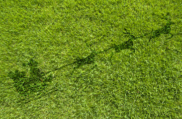 Santa icon on green grass texture and  background - 45622984