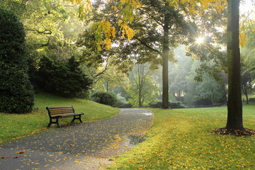 Obraz premium Soleil du matin dans un parc français. 