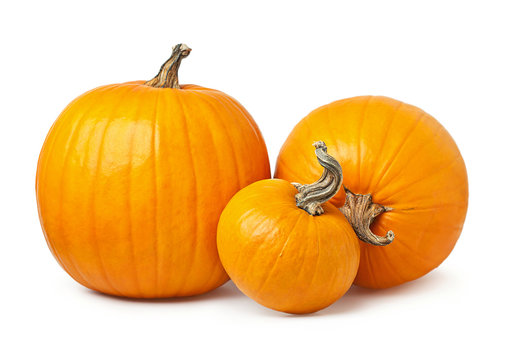 three yellow pumpkin on a white background - Powered by Adobe