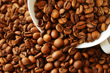 Coffee beans in a cup