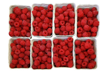 Himbeeren