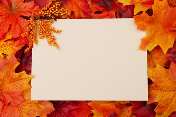Obraz premium Blank card with fall leaves for your message or invitation