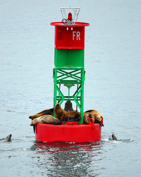 alaska13
