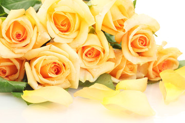 beautiful bouquet of roses and petals isolated on white