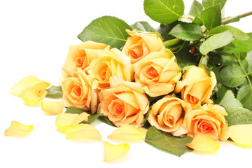 beautiful bouquet of roses and petals isolated on white