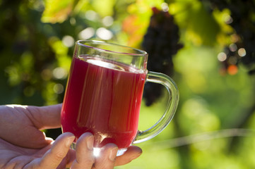 Fruit Wine - Traubenmost © DoraZett