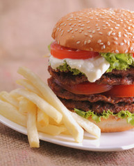 Burger and french fries