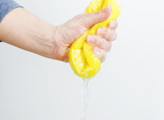 hand with sponge