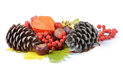 Chestnuts on autumn leaves isolated on white background